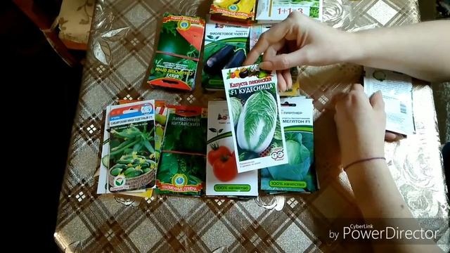 Обзор семян овощей 2019г.