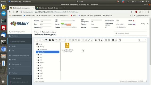 BrainyCP. Настройка автоматического резервного копирования: локально и удаленно смотреть онлайн
