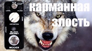 Маленькая злюка из китая Mooer Black Secret Distortion