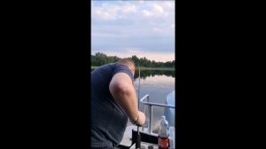У Николаича Wellboat 61 Calypso