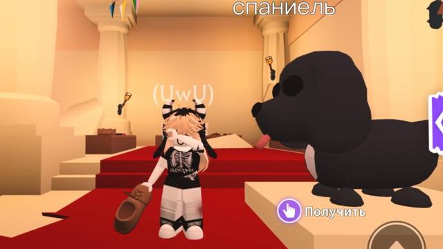 как не попасть на скам !!!