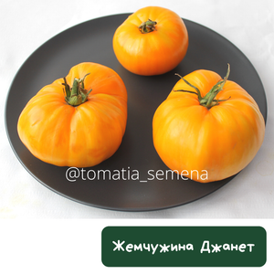 Жемчужина Джаннет