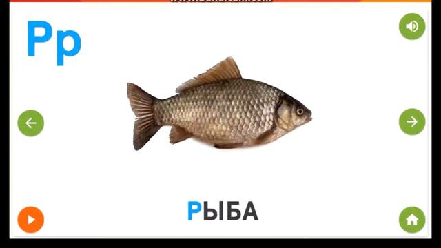 Алфавит для детей. Учим алфавит. Учим азбуку смотреть онлайн