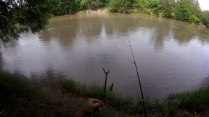 рыбалка на реке Сунжа, ловля Усача