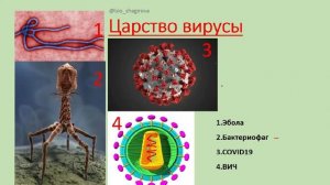 Биология 5 класс  Пономарева 8 параграф. Царства живой природы. Систематика. Вирусы.