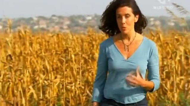 Елена Троянская 2/2