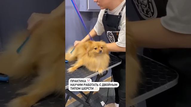 КАК ПРОХОДИТ КУРС "ОФЛАЙН" | БЛЭКГРУМЕР