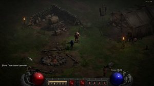 Зоны ужаса и чармы, снимающие иммунитет. Патч 2.5. Diablo 2 Resurrected