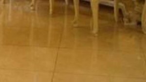 ЗВЕЗДНЫЙ ДОМ ШАХРУКХ КХАНА