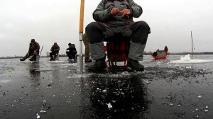 Как ловить окуня зимой, где как и на что ловить.