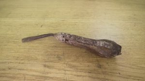 1891 German Weltrekord Ratchet Screwdriver