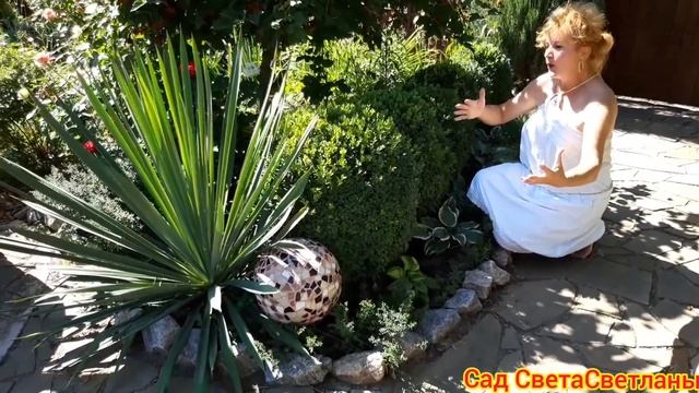 Часть 1.Вопросы- Ответы.Красивый сад.Ландшафтный дизайн своими руками. КРАСИВАЯ ДАЧА. смотреть онлайн