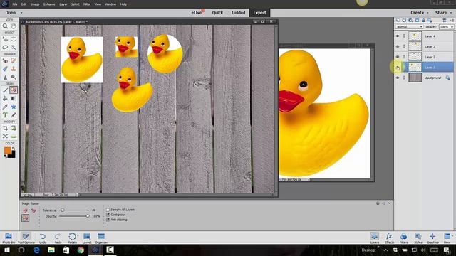 Learn how to make BASIC SELECTIONS in Photoshop Elements - Digital Scrapbooking смотреть онлайн