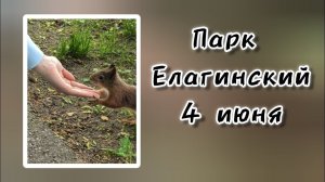 Прогулка по парку. 4 июня 2024 г.