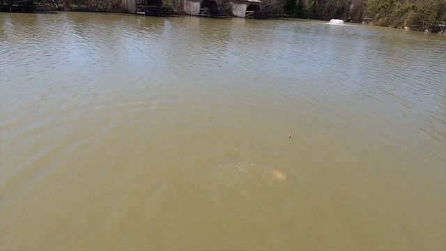 Досуг в Сочи. Куда можно сходить кроме моря? Рыбалка, Баня , мясо и море позитива!!