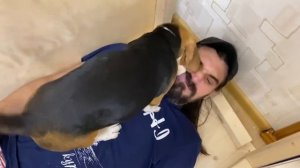 ВОЛЬЕР ДЛЯ СОБАКИ/СВОИМИ РУКАМИ/НАЁМНЫЙ РОДСТВЕННИК