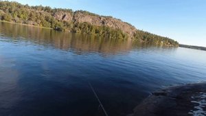Спиннинг с берега. Ловля щуки. Ловля окуня. Рыбалка на хищника осенью.