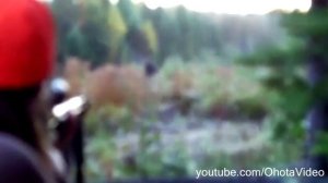 Лена стреляет в лося. Охота на лося на реву 2012-2013 Moose hunting in Russia.