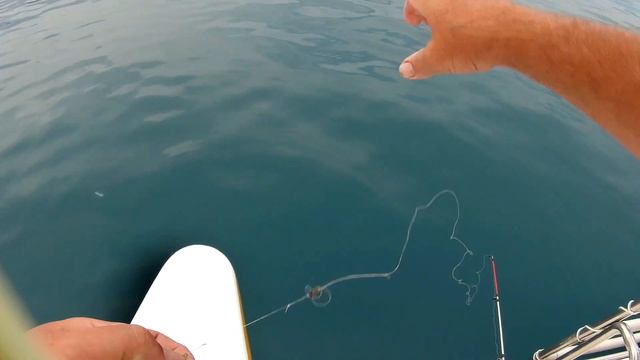 Ловля ставриды в Чёрном море.