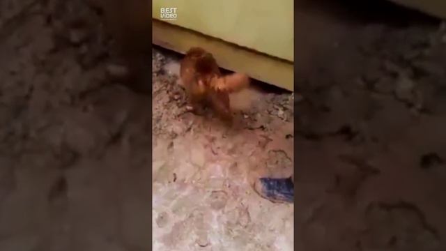 настоящая мать не оставит свих детей в беде смотреть онлайн