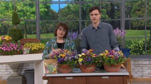 Roberta's 3-Piece Fragrant Penny Series Viola on QVC