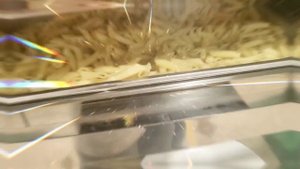 Отель для отдыха с детьми самый лучший на ЧЕРНОМ МОРЕ -  БОГАТЫРЬ Сочи/Адлер Россия