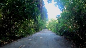 Hondaafushi | Island Walk | Maldives