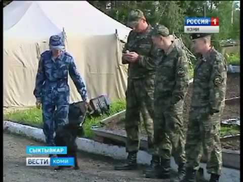 Зарядка со стражами порядка