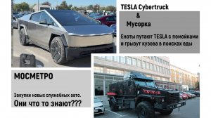 Они что-то знают? Мосметро Закупает авто. Tesla Cybertruck грызут ЕНОТЫ))