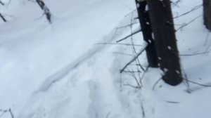 Жизнь и промысел в тайге. Разговоры о разном, проверка западного путика.