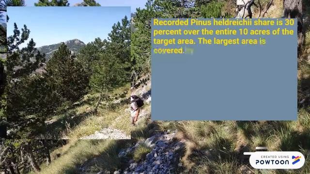 LASPEH, Monitoring Pinus heldreichii in Montenegro смотреть онлайн