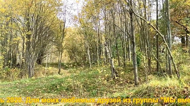 Осень 2020 + группа "Чёрный кофе" смотреть онлайн