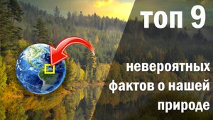 Топ 9 самых невероятных фактов о нашей природе.
