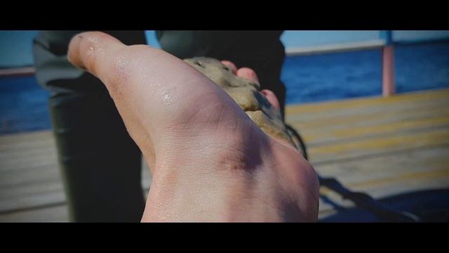 СОЛНЦЕ В ЗЕНИТ, А В КАРМАНЕ ЗВЕНИТ | DK смотреть онлайн