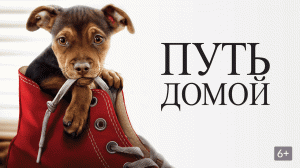 Путь домой | A Dog's Way Home (2019)