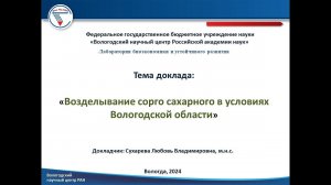 "Возделывание сорго сахарного в условиях Вологодской области"