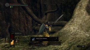 Прохождение  Dark Souls Remastered - часть 25: Полость и озеро Золы