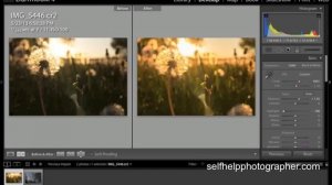 How to Process a RAW Photo Using Adobe Lightroom | Short Version