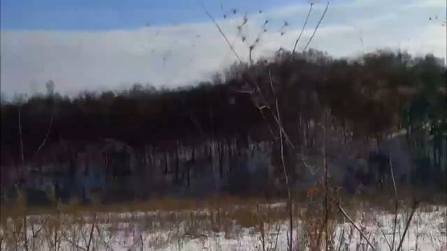 Национальный парк "Башкирия". Как мы считали животных смотреть онлайн