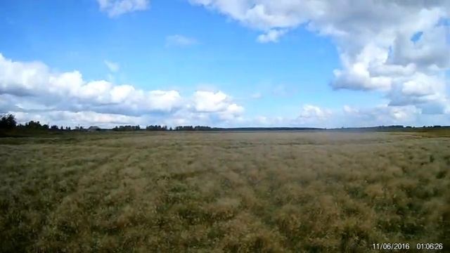 1 часть. Планировка участка/Площадка для содержания животных.