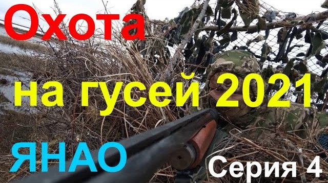 ОХОТА НА ГУСЕЙ 2021. Серия 4/Goose hunting 2021. Series 4 смотреть онлайн