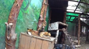 Выходные в Екатеринбурге, что посмотреть и куда сходить