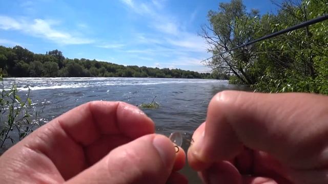 ЖЕРЕХ В НАЧАЛЕ ЛЕТА. БОЛЬШАЯ ВОДА. смотреть онлайн
