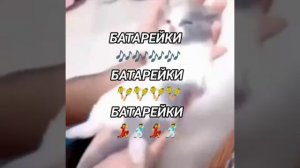 батарейки батарейки батарейки