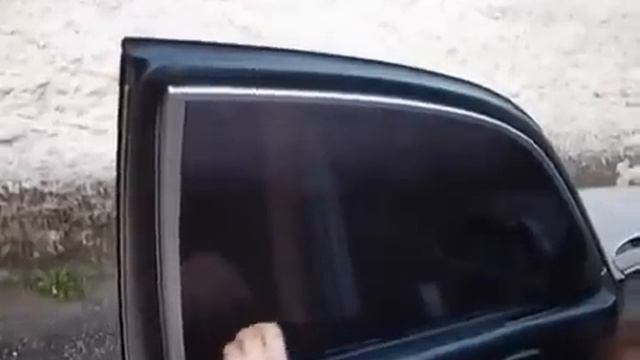 Автоматическая тонировка цена