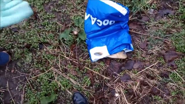 История о карпе)) смотреть онлайн