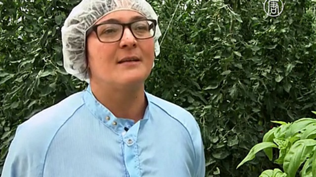 Вертикальные фермы – база для освоения других планет? смотреть онлайн