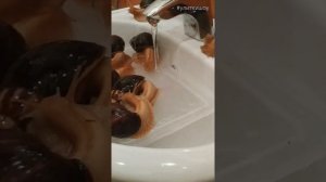 УЛИТКИ АХАТИНЫ ЛЮБЯТ КУПАТЬСЯ????? Коротко про Купание Улиток!