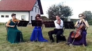 С. Джоплин  "Артист эстрады"