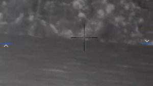 стрельба по кабанам вдвоем с лабаза